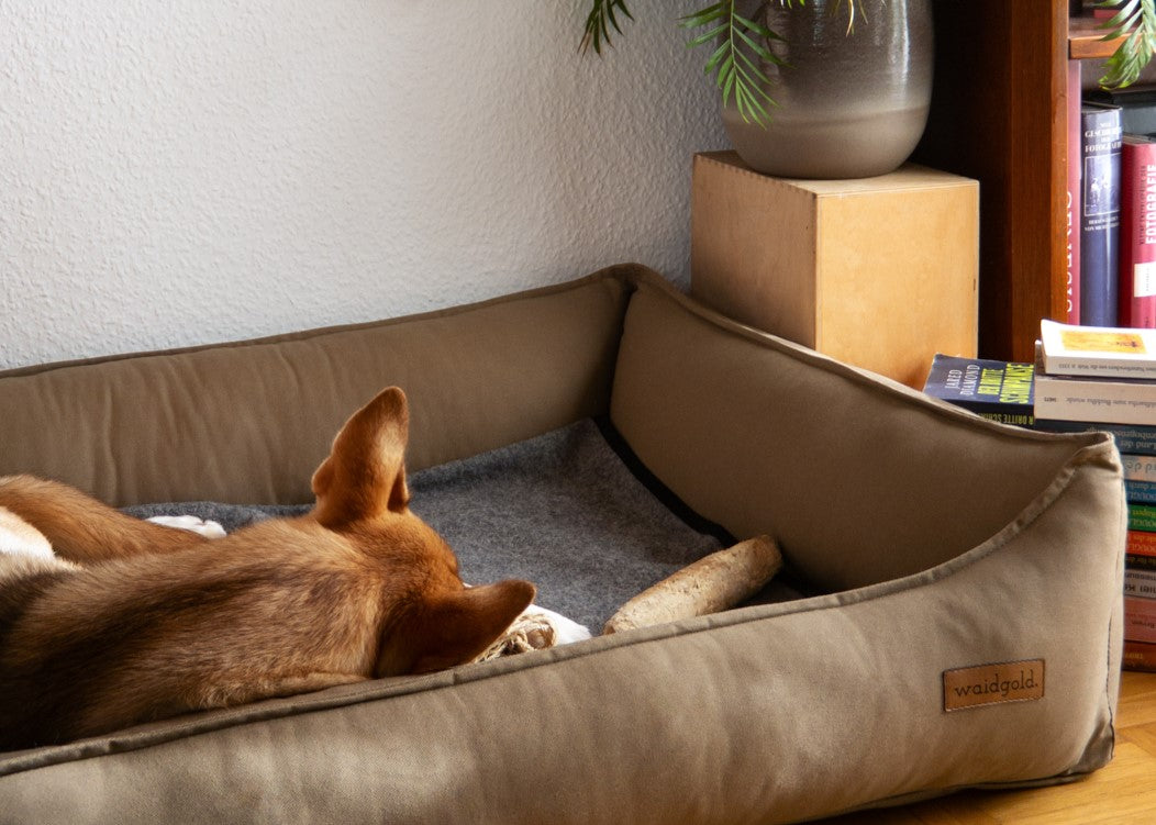 Schlummerwiese - orthopädisches Hundebett aus Baumwolle (antiallergisch + kochfest)