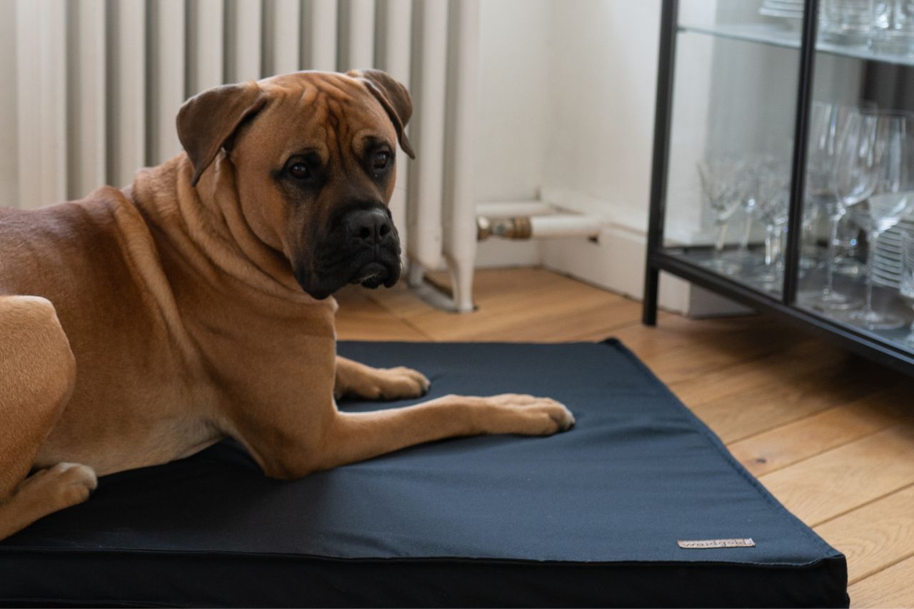 Tierlando® Oscar Orthopädische Hundematte - Größe 150 Cm, Kunstleder, Visco-Schaum, Rutschfest | Für Große Hunde